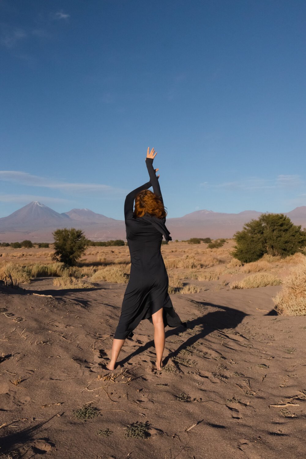 Eco dos Andes Atacama - Imagem 4