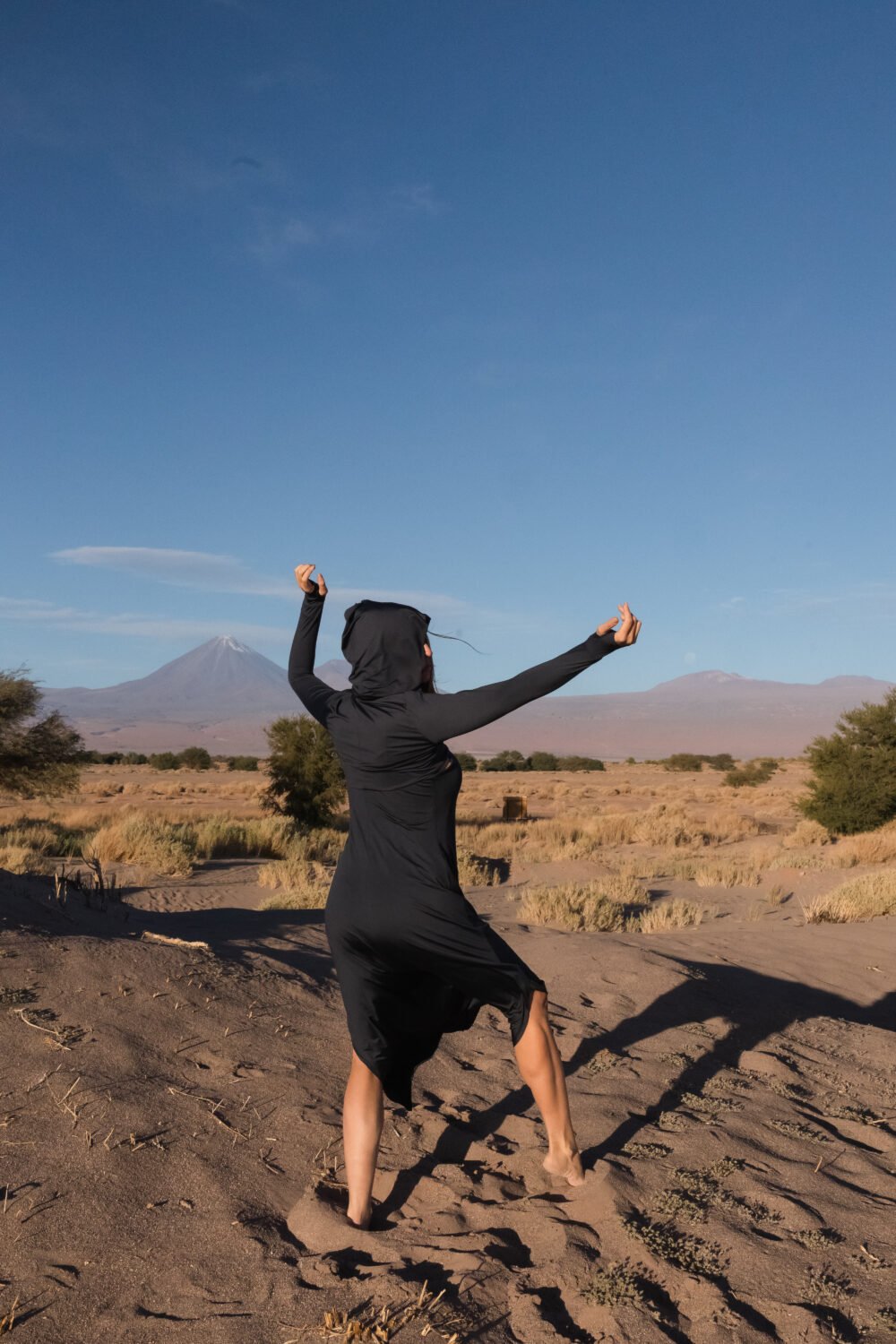 Eco dos Andes Atacama - Imagem 2