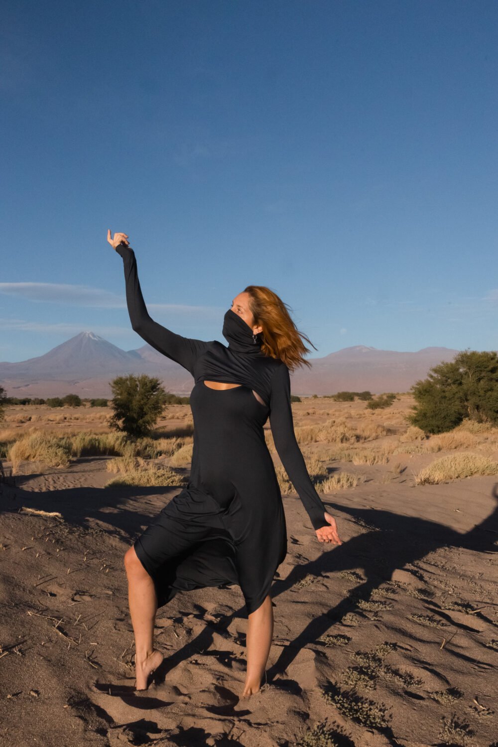 Eco dos Andes Atacama