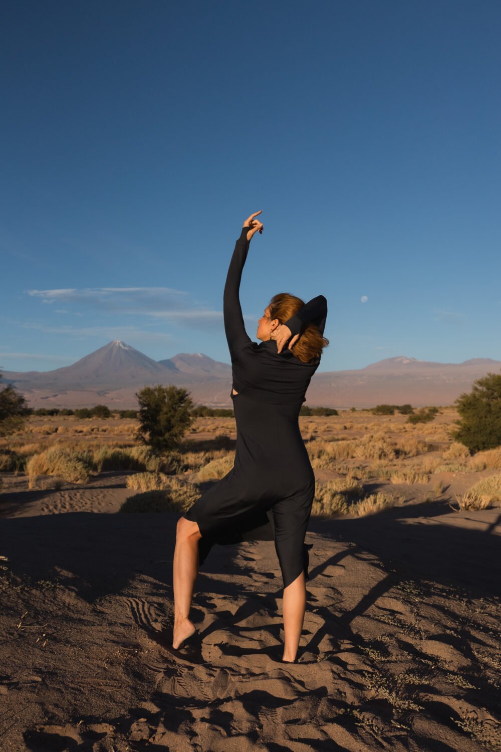 Eco dos Andes Atacama - Imagem 3